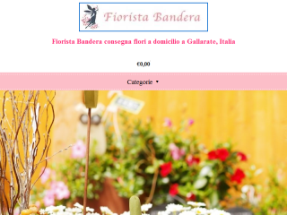 Fiorista Bandera shopping di fiori On-line.