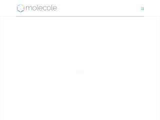 ::: molecole - webdesign & development