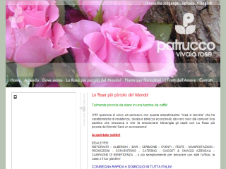 Vivaio Rose Patrucco