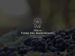 FATTORIA TERRE DEL MARCHESATO Bolgheri